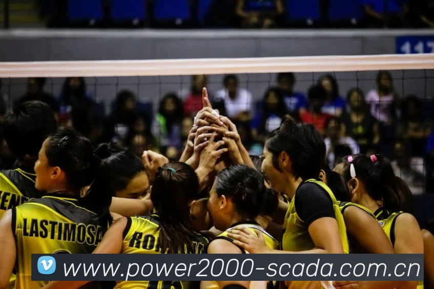 乐竞官网服务体系